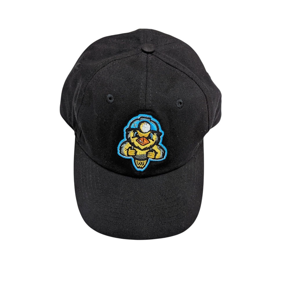 NWOT Bimm Ridlder Black Dirty Bird Baseball Cap